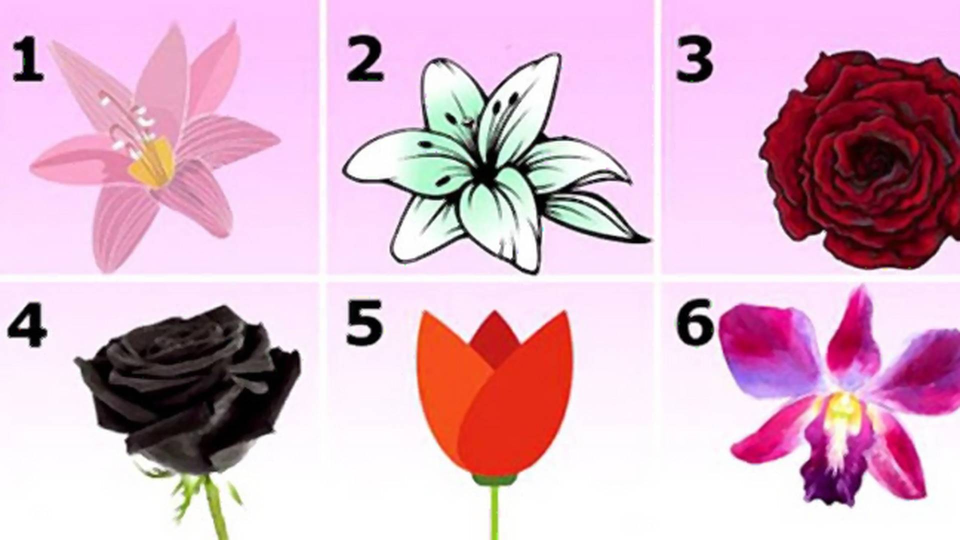Izaberi jedan od cvetova i saznaj šta ljudi stvarno misle o tebi
