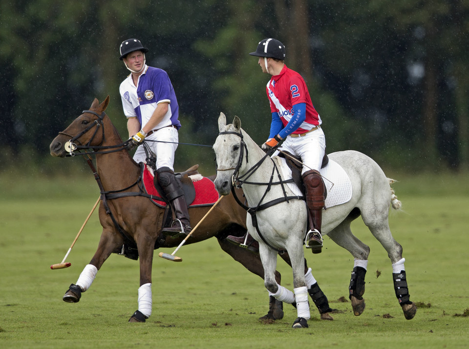 William i Harry na meczu polo