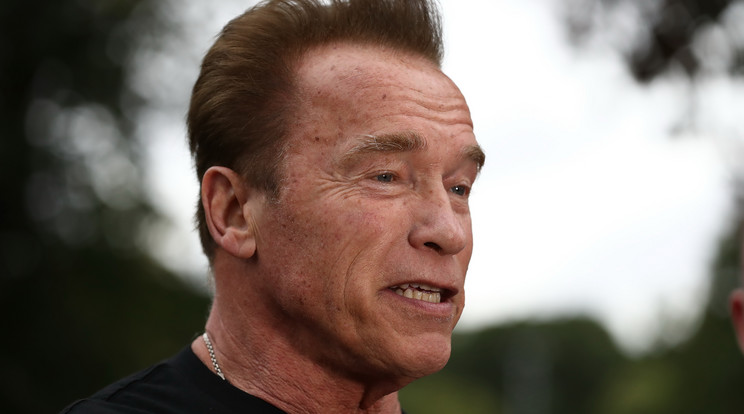 Arnold Schwarzeneggernek életmentő szívműtéten kellett átesnie /Fotó: GettyImages