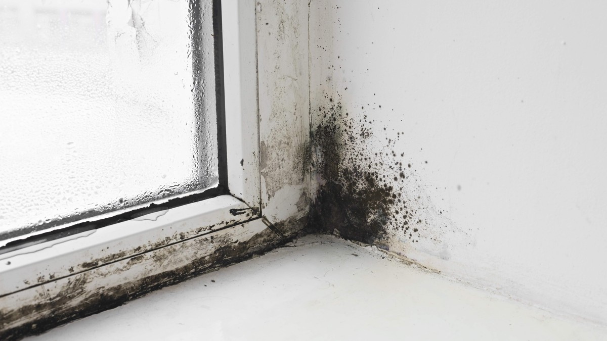 Sprečite pojavu buđi u kući: Skandinavska metoda košta nula dinara, a daje rezultate