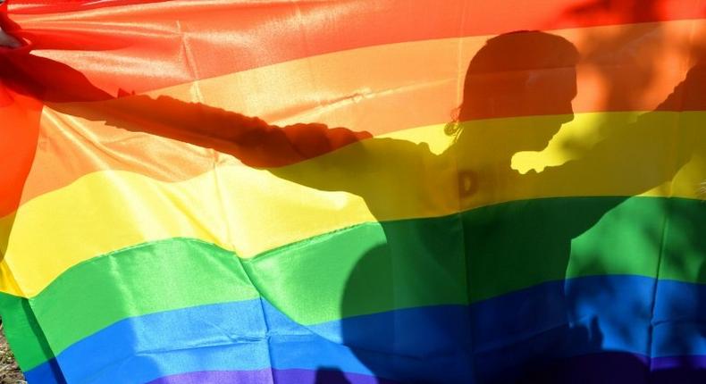 An LGBT activist's silhouette is seen through a rainbow flag during a gay pride event in Kiev