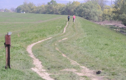 Nasip u Borči