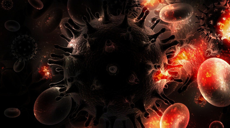 Egy 31 éves nő természetes immunitással űzte ki szervezetéből a HIV-fertőzést/ Fotó: Pixabay