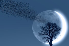 Mlad Mesec 25. juna donosi PRELOMNI TRENUTAK ZA ČOVEČANSTVO! Ruski astrolog Natalija Labotina upozorava: "Svet ulazi u FAZU SUKOBA I PRIRODNIH KATASTROFA, rođeni u OVIM znacima to će najviše osetiti"