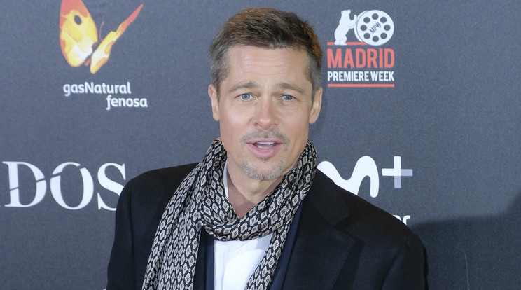 Brad Pitt a pletykák szerint újra szerelmes /Forrás: Northfoto
