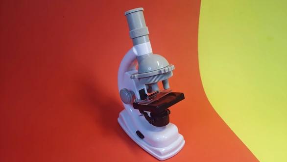 Mikroskope für Hobby und Schule: 1000-fache Vergrößerung für unter 70 Euro  | TechStage