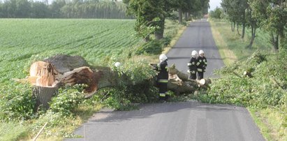 Szalejące burze nad Polską. Oto skutki nawałnic!