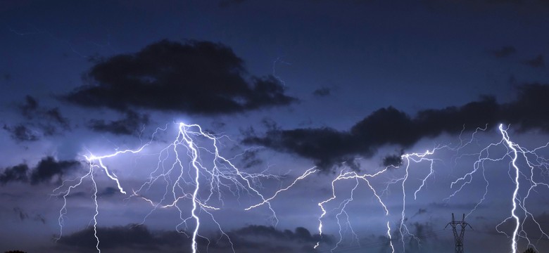 Drzewa powyrywane z korzeniami. "Małe tornado" nad Polską