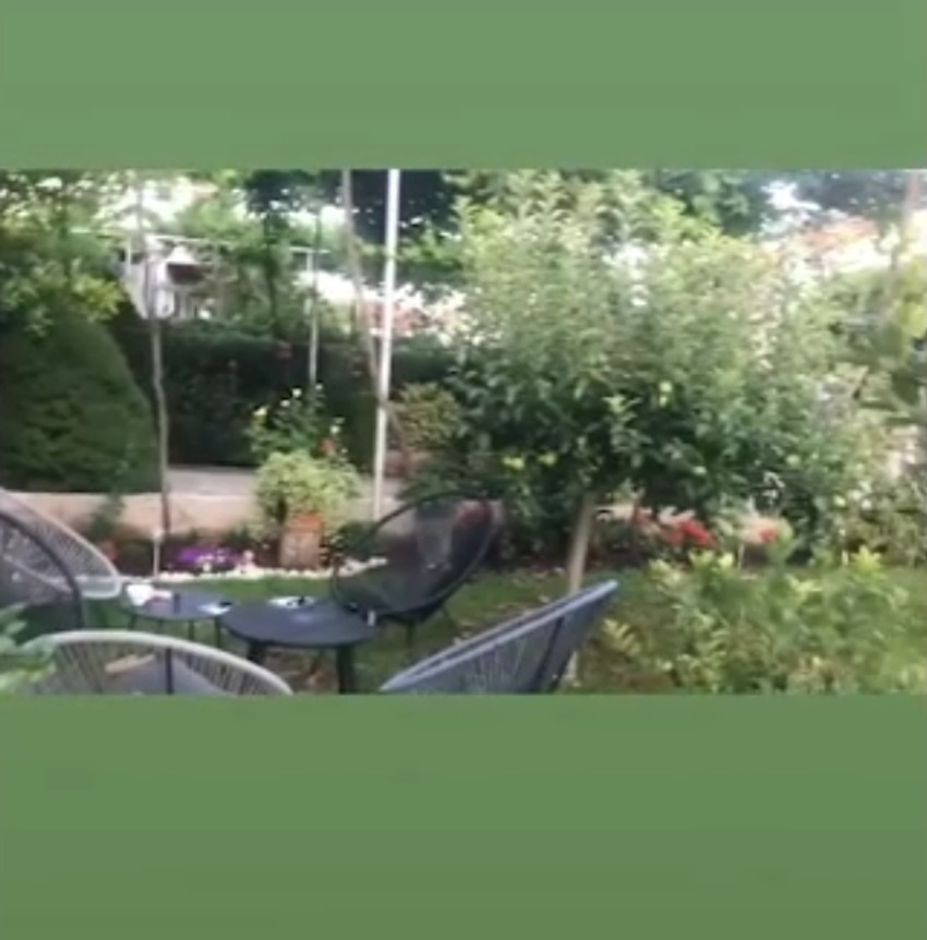 Nataša Ninković, imanje