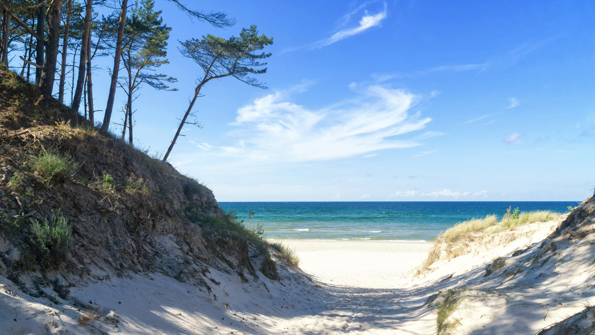 Konflikt na plaży w Łebie: obrońcy psów kontra przeciwnicy