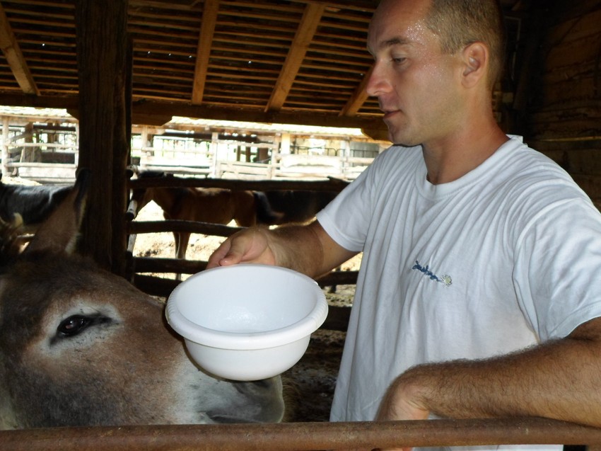 Nikola je zadužen za mužu