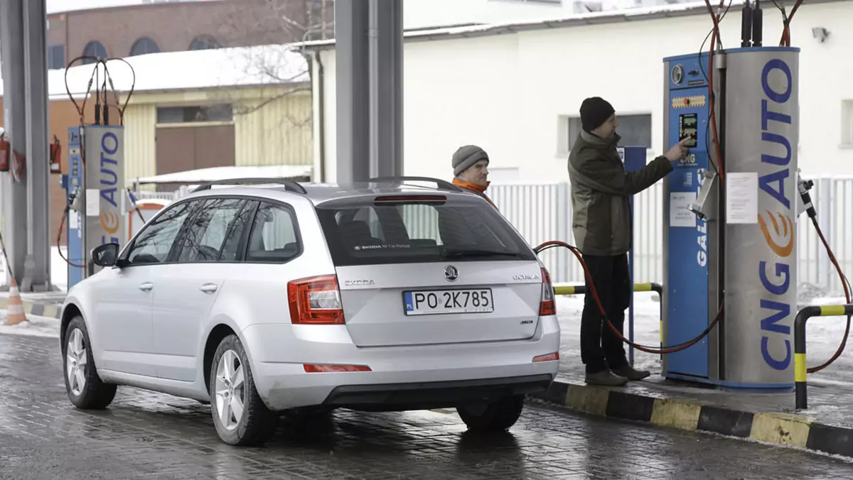 Test Skody Octavii 1.4 G-TEC CNG - kompaktowe kombi na gaz ziemny