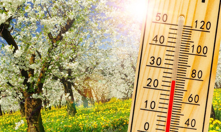 Ovo leto do 55 tropskih dana