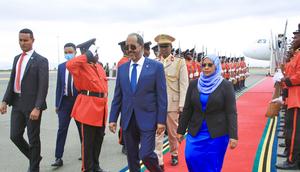 Tanzania vows to help boost Somalia's defense and security