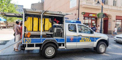 Animal patrol dostał terenowy wóz