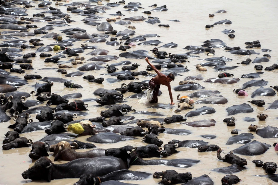 Vrućine krajem juna u Pakistanu - Larkana
