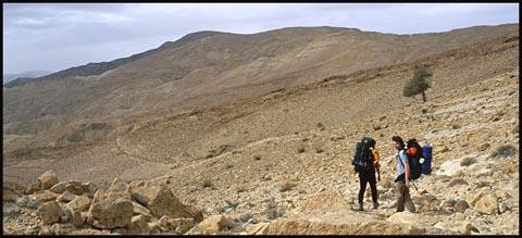 Galeria Jordania - pustynna przygoda, obrazek 10