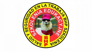 Profesjonalne usługi szkoleniowe  Obsługa BHP, RODO, PPOŻ na terenie całego kraju