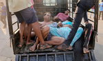 Wyciek gazu w Indiach. Nie żyje osiem osób