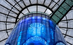 Pękło największe akwarium na świecie. Zalewa berlińskie ulice [NAGRANIA]