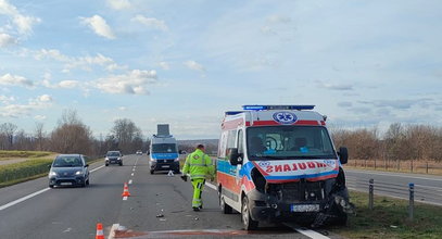 Niezwykły wypadek karetki przewożącej chorego. Nagle na drodze pojawił się intruz