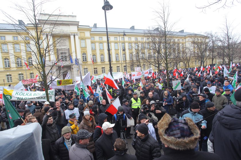 Zielone miasteczko