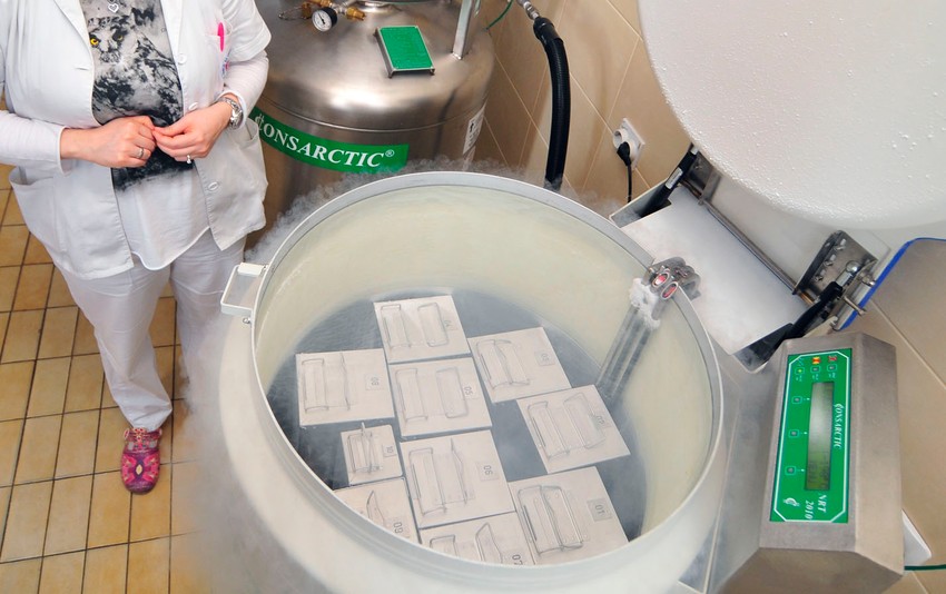 Banka matičnih ćelija