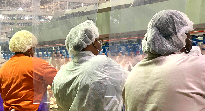 In this April 2020, photo provided by Tyson Foods, workers wear protective masks and stand between plastic dividers at the company's Camilla, Georgia poultry processing plant. Tyson has added the plastic dividers to create separation between workers because of the coronavirus outbreak. (Tyson Foods via AP)