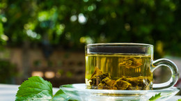 Czy herbata z morwy białej jest zdrowa? Dietetyk odpowiada