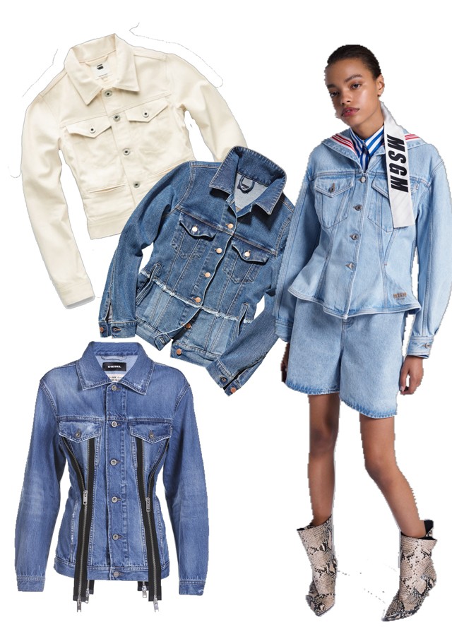MSGM 