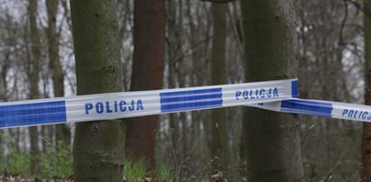 Makabryczne odkrycie w lesie pod Zgierzem. Policjanci znaleźli zwłoki noworodka