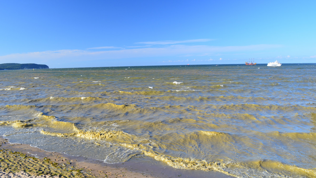 Trzy nadmorskie kąpieliska, zorganizowane na terenie województwa pomorskiego, są zamknięte w niedzielę z powodu utrzymujących się w wodzie zakwitów sinic.