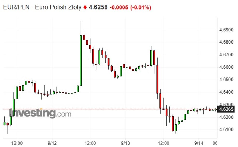 Notowania złotego względem euro