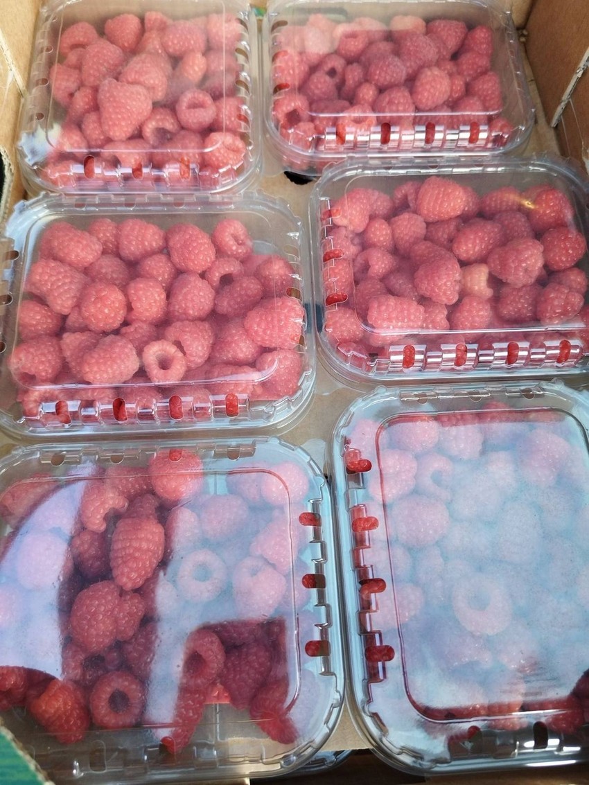 Gazdinstvo Jakovljević