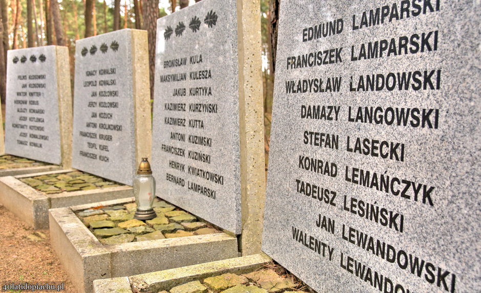 Pomnik ofiar w Rudzkim Moście, las k. Tucholi