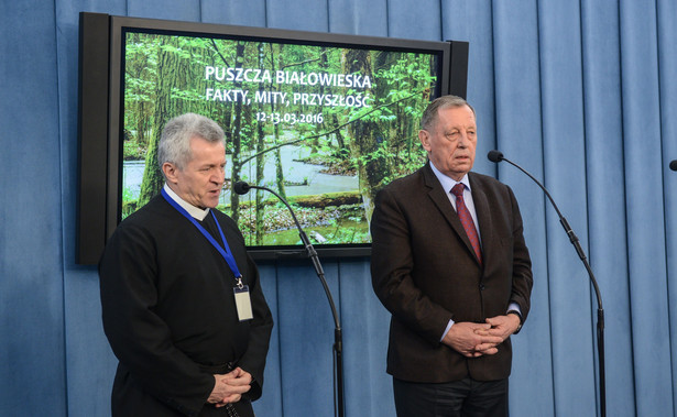 Konferencja w sprawie Puszczy Białowieskiej. Czy minister zgodzi się na wycinkę chronionego lasu?