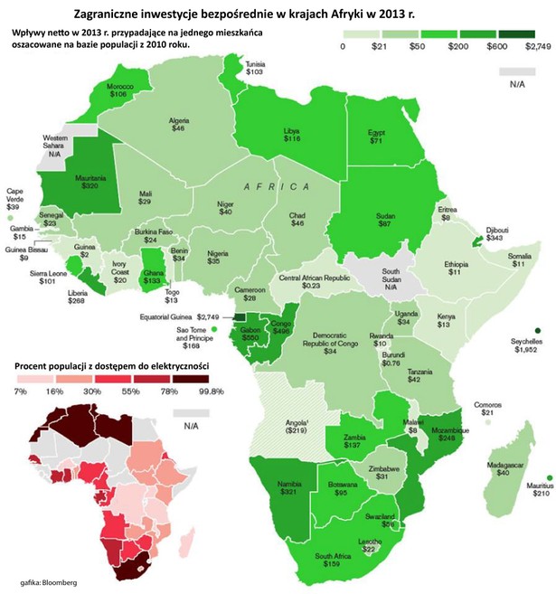 Inwestycje zagraniczne w krajach Afryki w 2013 r.