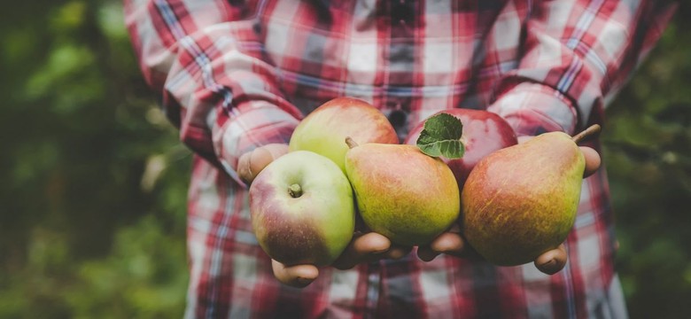 Zawsze smacznie i prosto. Trzy przepisy kulinarne na dania z gruszkami