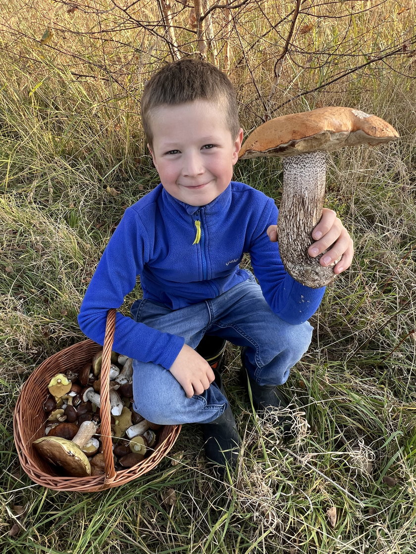 Dziewięcioletni Olek znalazł piękny okaz. Mama będzie wiedziała, co zrobić z takim wspaniałym koźlakiem