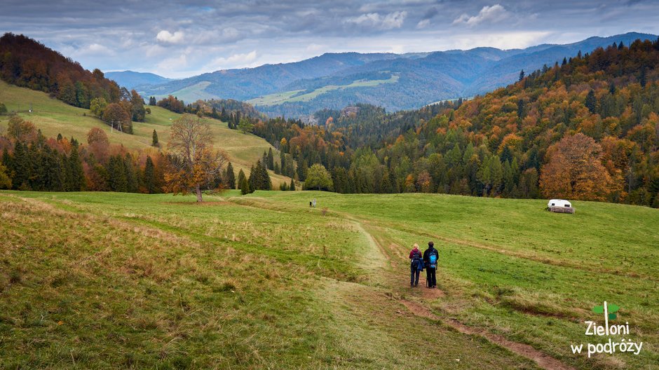 Polana pod Wysoką