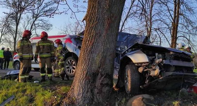 Dramat na mazurskiej drodze. Citroen roztrzaskał się na drzewie. Przerażające zdjęcia