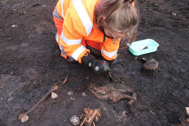 Lea Mohr Hansen retirando del suelo restos encontrados, Ejedal, cerca de Copenhague, 2022.