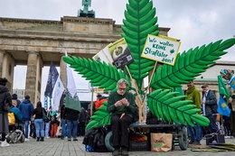 Niemiecki Bundestag przegłosował legalizację marihuany