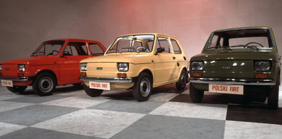 Fiat 126p i przyczepa Niewiadów w mega cenie! Taka okazja może się już nie powtórzyć