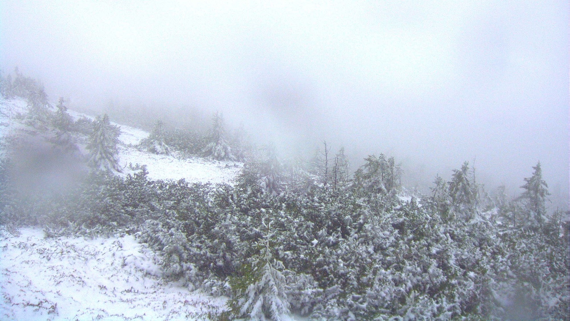 Prvý sneh je tu: Na dvoch miestach sa už tešia z bielej pokrývky ...
