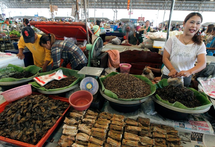 Rynek pełen robaków. Gratka dla smakoszy