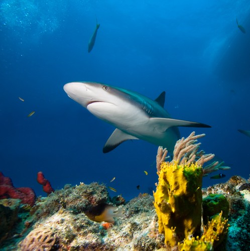 Najpiękniejsze wyspy świata