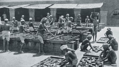 indie. do cna wyzyskana perła