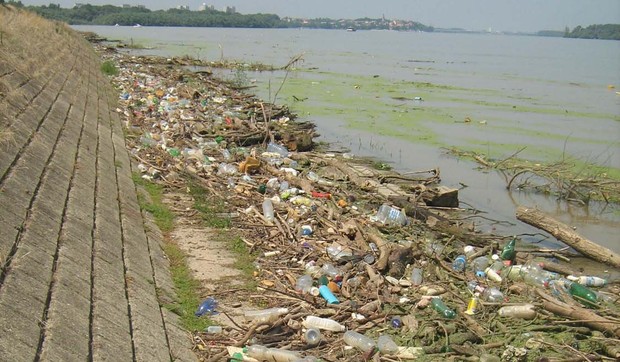 502782_marina-dorcol4-foto-poslao-citalac-stevan-bozic