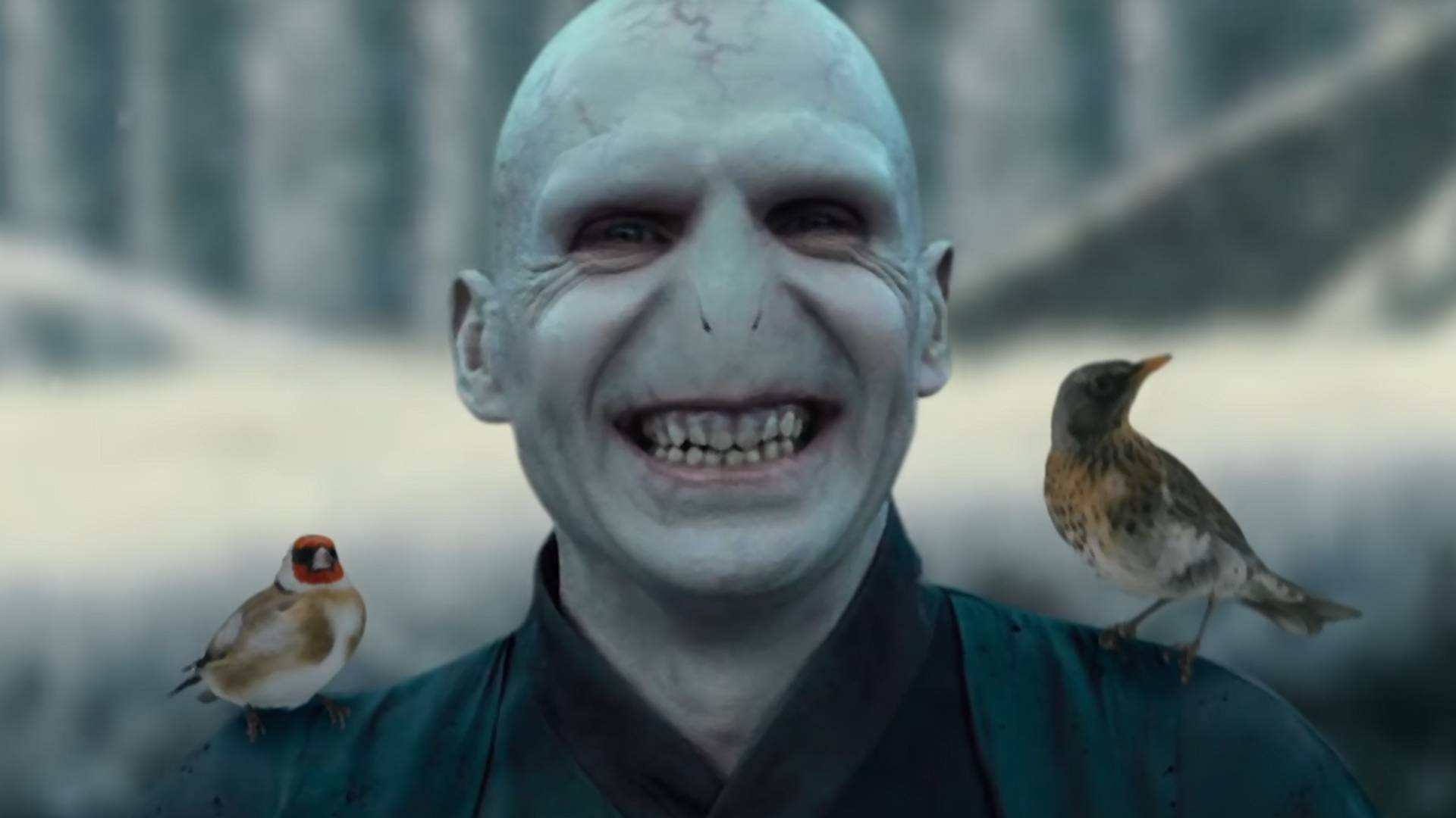 Miłosna historia Voldemorta i Hermiony. Przeróbka trailera „Pięknej i Bestii” to naprawdę coś